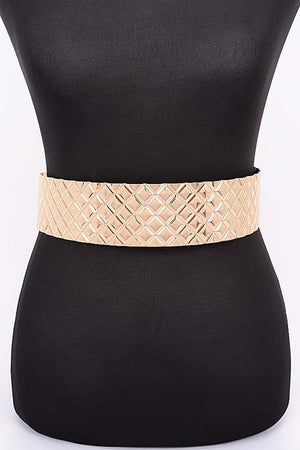 Chic Metal Waist Belt